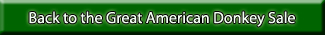 The Great American Miniature Donkey Sale