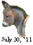 The Great American Miniature Donkey Sale